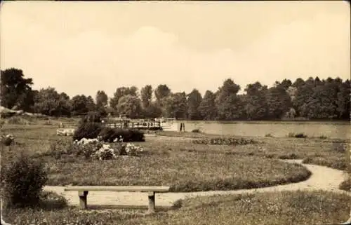 Ak Templin in der Uckermark, Stadtsee, Teilansicht