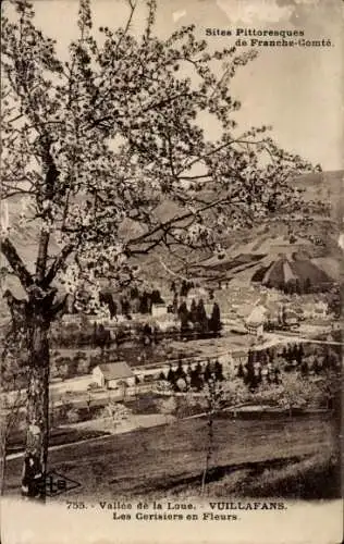 Ak Vuillafans Doubs, Vallee de la Loue, Les Cerisiers en Fleurs