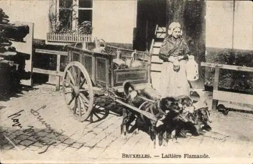 Ak Bruxelles Brüssel, Laitière Flamande, Flämisches Milchmädchen, Zughunde