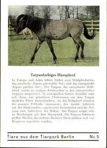 Set von 8 AK im Umschlag Tierpark Berlin , Elefanten, Storch, Pilikan etc.