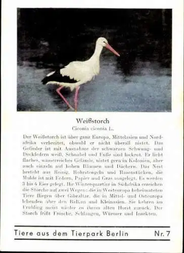 Set von 8 AK im Umschlag Tierpark Berlin , Elefanten, Storch, Pilikan etc.