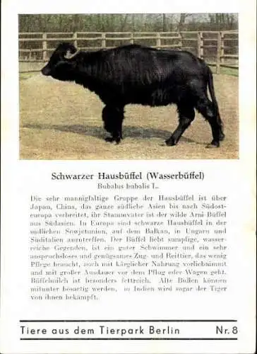 Set von 8 AK im Umschlag Tierpark Berlin , Elefanten, Storch, Pilikan etc.