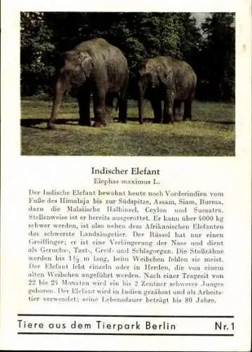 Set von 8 AK im Umschlag Tierpark Berlin , Elefanten, Storch, Pilikan etc.