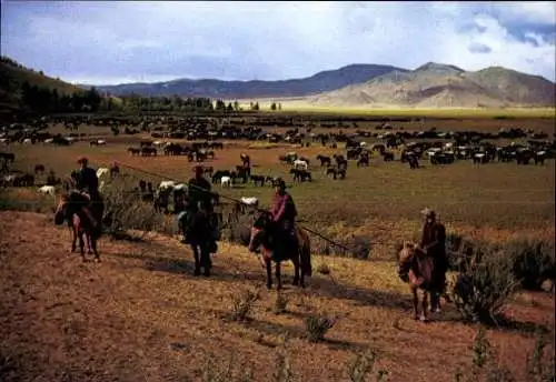 Set von 15 AK im Umschlag  Mongolei, verschiedene Ansichten 