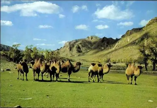 Set von 15 AK im Umschlag  Mongolei, verschiedene Ansichten 