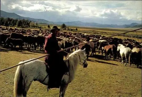 Set von 15 AK im Umschlag  Mongolei, verschiedene Ansichten 