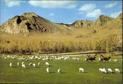 Set von 15 AK im Umschlag  Mongolei, verschiedene Ansichten 