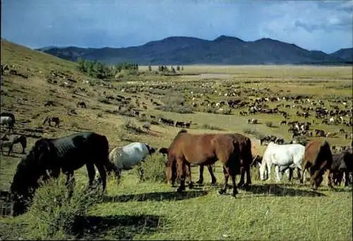 Set von 15 AK im Umschlag  Mongolei, verschiedene Ansichten 