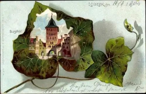 Efeublatt Litho Lübeck, Burgtor