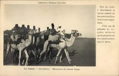 Ak Ain Chams Kairo Ägypten, Manoeuvre du Camel Corps