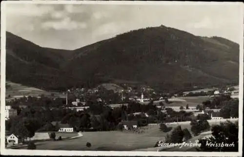 Ak Weissbach Weißbach in Thüringen, Panorama