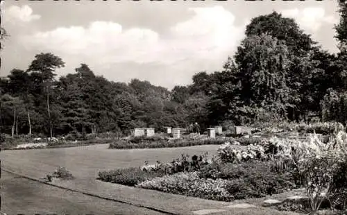 Ak Wattenscheid Bochum Ruhrgebiet, Stadtpark