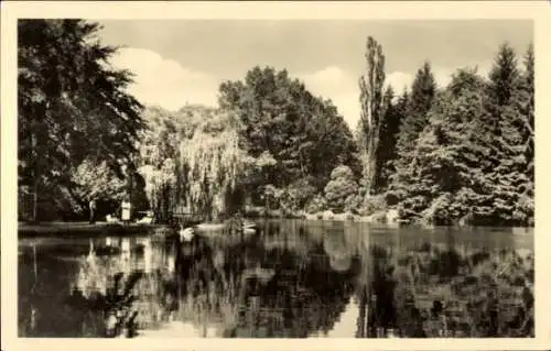 Ak Bad Liebenstein im Thüringer Wald, Park, Schwäne