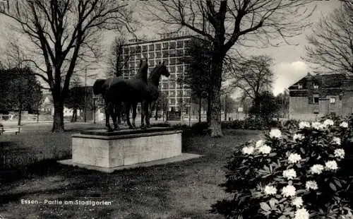 Ak Essen im Ruhrgebiet, Stadtgarten, Pferdestatue