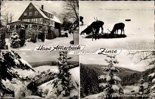 Ak Zinse Erndtebrück Westfalen, Gasthof Haus Afflerbach, Winter, Wildfütterung am Forsthaus Ihrige