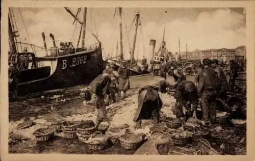 Ak Boulogne sur Mer Pas de Calais, Fischsortierung an den Kais