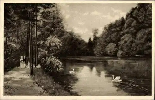 Set von 14 AK Baden Baden, Kurhaus, Frieseuberg etc.