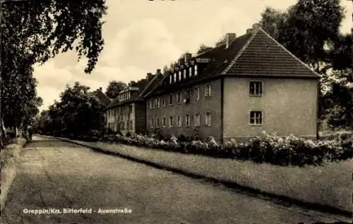 Ak Greppin Bitterfeld Wolfen Sachsen Anhalt, Auenstraße