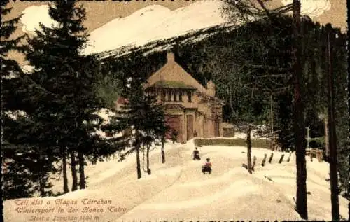 Ak Hohe Tatra Polen, Wintersport, Schlitten, Berge, Rodelbahn