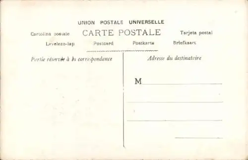 Ak Portrait einer Frau, Schleier, Gibson