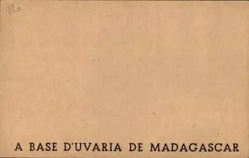 Ak Flacon d'Extrait de Faileuse, a base d'uvaria de Madagascar, Reklame