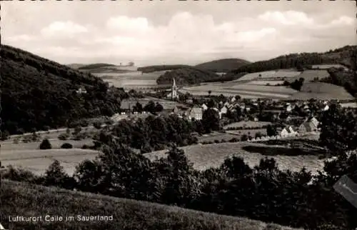 Ak Calle Meschede im Sauerland, Blick zum Ort mit Umgebung, Gasthof und Pension Pieper