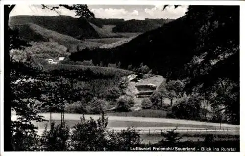 Ak Freienohl Meschede im Sauerland, Ruhrtal, Panorama