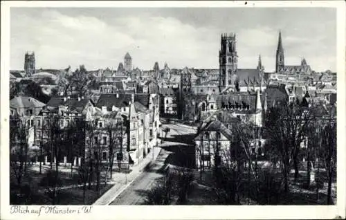 Ak Münster in Westfalen, Gesamtansicht