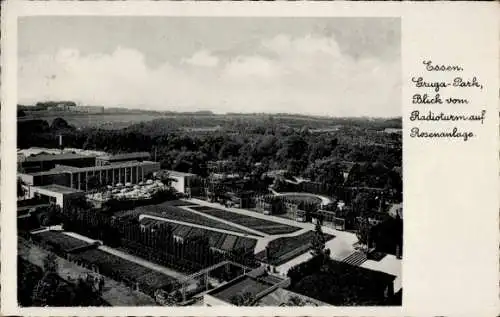 Ak Essen im Ruhrgebiet, Grugapark, Blick vom Radioturm, Rosenanlage