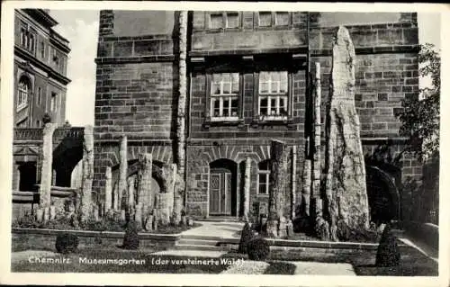 Ak Chemnitz in Sachsen, Museumsgarten, der versteinerte Wald