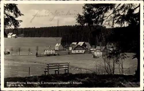 Ak Steinbach Johanngeorgenstadt Erzgebirge, Teilansicht des Ortes