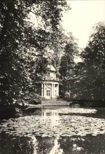 Ak Dresden Pillnitz, Schloss, Englischer Garten, Rundtempel