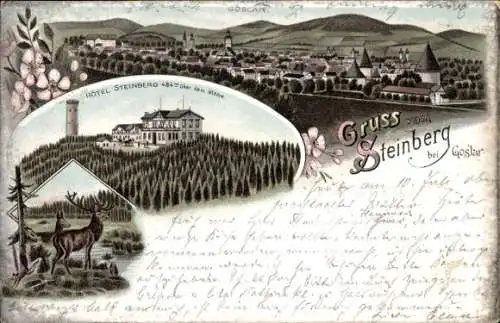 Litho Steinberg Goslar am Harz, Panorama, Hotel Steinberg, Hirsch