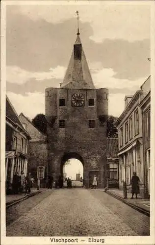 Ak Elburg Gelderland, Vischpoort