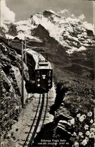 Ak Schynige Platte Kanton Bern, Bahn, Jungfrau