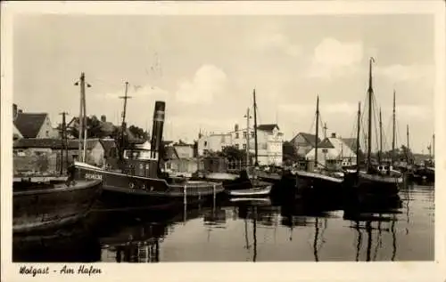 Ak Wolgast in Mecklenburg Vorpommern, Am Hafen, Fischerboot Schuja