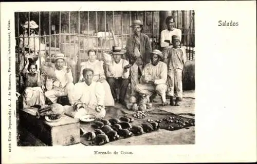 Ak Colón Panama, Mercado