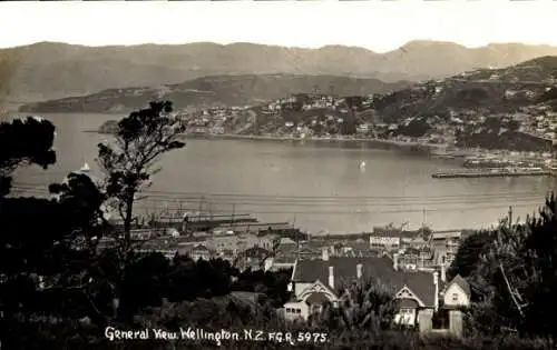 Foto Ak Wellington Neuseeland, Panorama