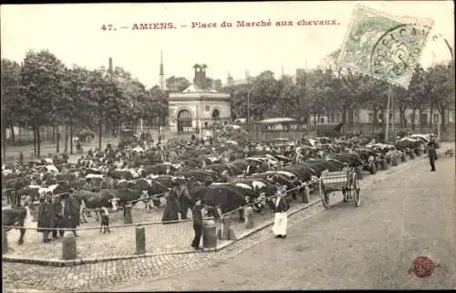 Ak Amiens-Somme, Place du Marche auxhorses