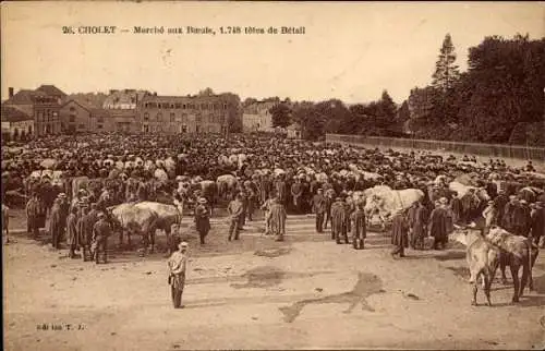 Ak Cholet Maine et Loire, Viehmarkt, Rindermarkt