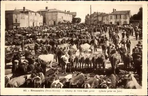 Ak Bressuire Deux Sèvres, Viehmarkt, Rinder