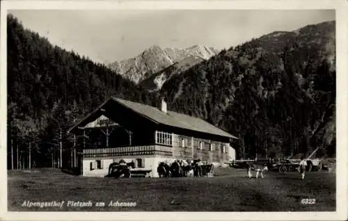 Ak Pertisau Eben am Achensee in Tirol, Alpengasthof Pletzach