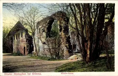 Ak Nimbschen Grimma in Sachsen, Kloster Nimbschen, Ruine