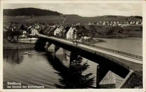 Ak Saalburg in Thüringen, Stausee, Bleilochsperre