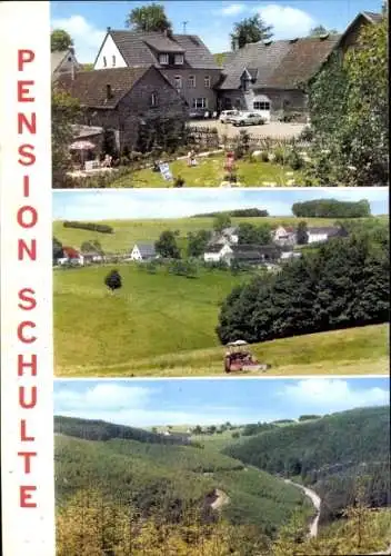 Ak Leveringhausen Balve im Sauerland, Pension Schulte, Panoramen, Traktor, Garten, Terrasse