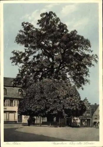 Ak Geisenheim am Rhein Hessen, Alte Linde