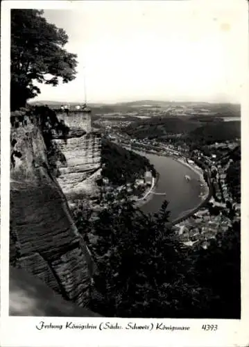 Ak Königstein an der Elbe Sächsische Schweiz, Festung Königstein, Königsnase, Panorama