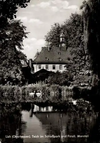 Ak Lich in Hessen, Schlosspark, Teich, fürstlicher Marstall