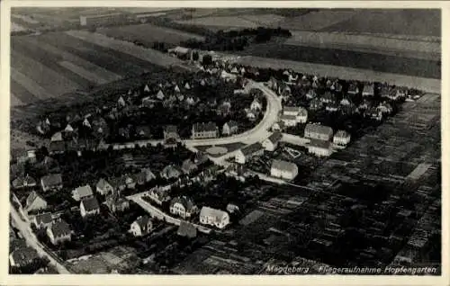 Ak Hopfengarten Magdeburg, Fliegeraufnahme, Siedlung