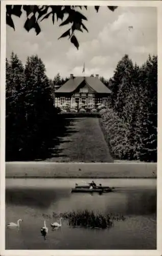 Ak Dorfstadt Falkenstein Vogtland, Naturpark Irrgang, Inh. Karl Baldauf